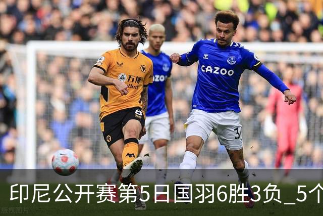 印尼公开赛第5日国羽6胜3负 5个单项背靠背进决赛