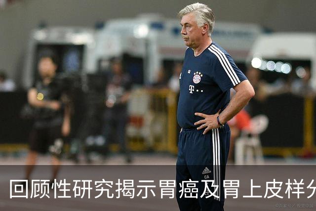 回顾性研究揭示胃癌及胃上皮样分化肿瘤中Claudin 18.2的表达水平