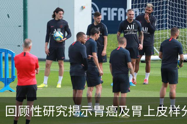 回顾性研究揭示胃癌及胃上皮样分化肿瘤中Claudin 18.2的表达水平