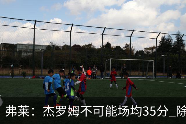 弗莱：杰罗姆不可能场均35分 除了哈登谁能涨分那么多的