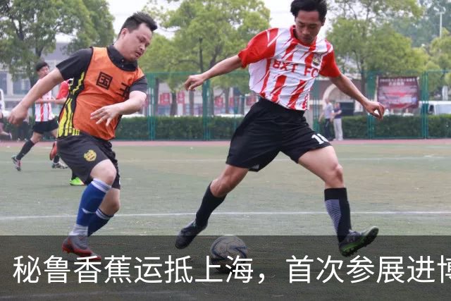 秘鲁香蕉运抵上海，首次参展进博会