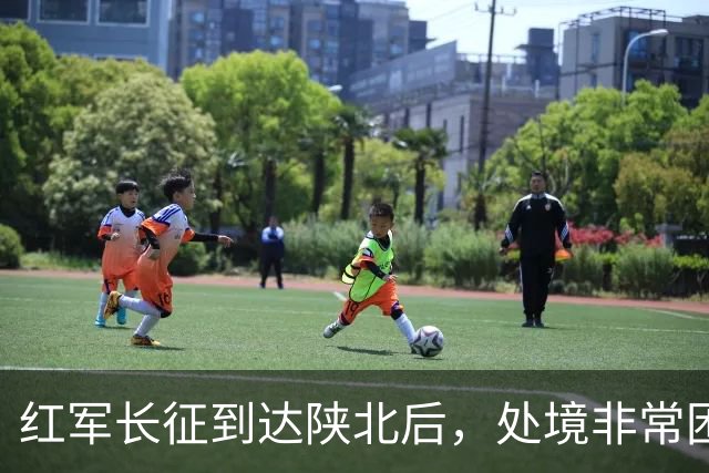红军长征到达陕北后，处境非常困难，毛主席如何破局