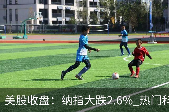 美股收盘：纳指大跌2.6% 热门科技股纷纷下挫
