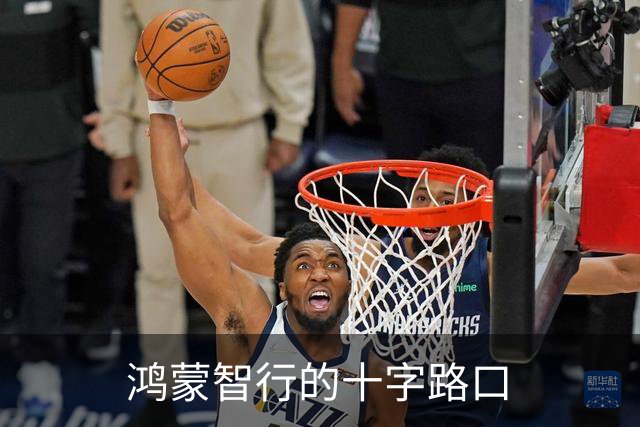 鸿蒙智行的十字路口