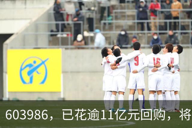 603986，已花逾11亿元回购，将全部注销！