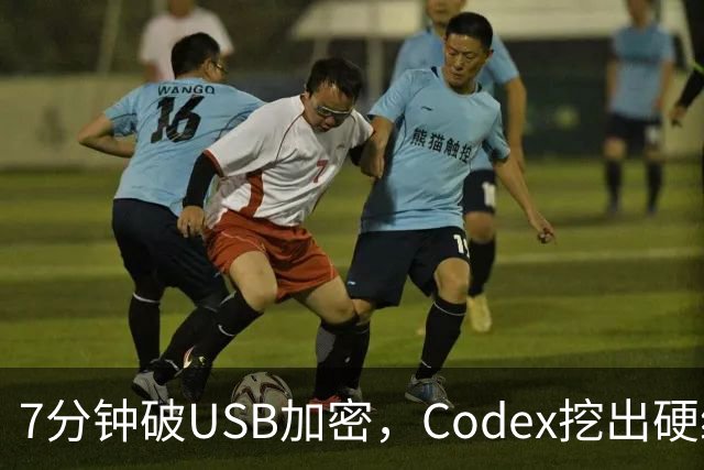 7分钟破USB加密，Codex挖出硬编码密钥